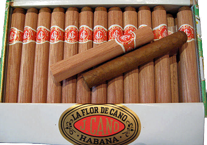 La Flor De Cano Petot Coronas ( Hộp 25 Điếu )